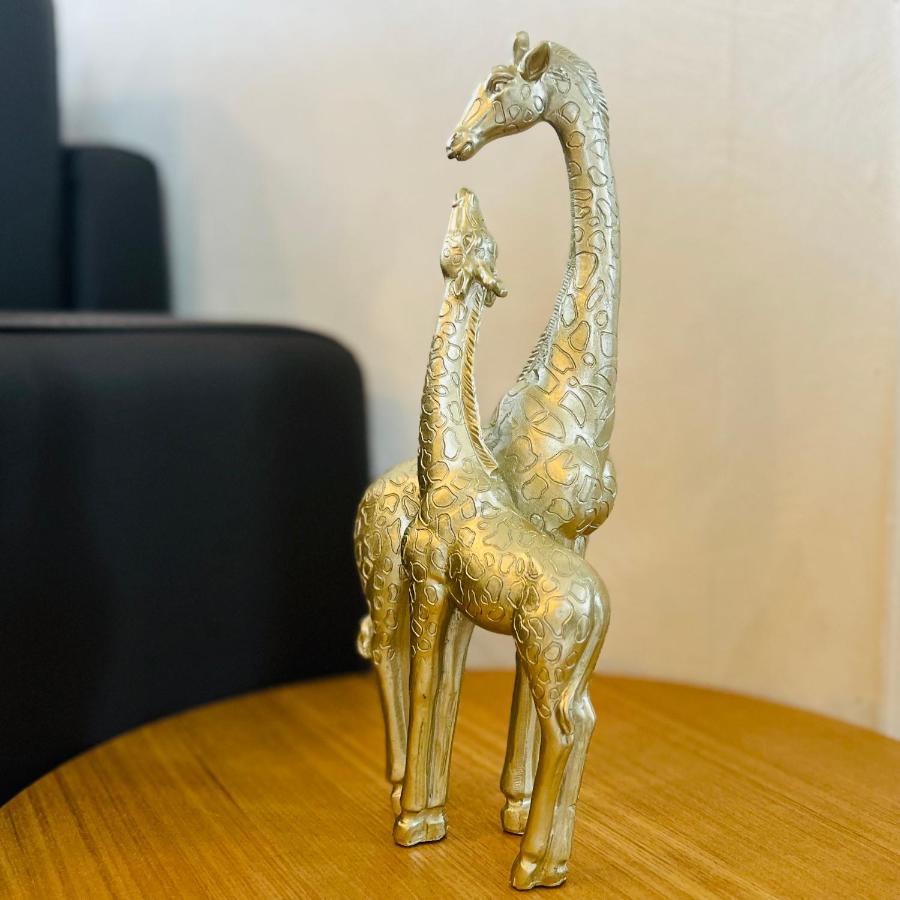 "Le Savanna" Magnifique T3 Montlucon Centre - Hopital - Parking Gratuit Dış mekan fotoğraf